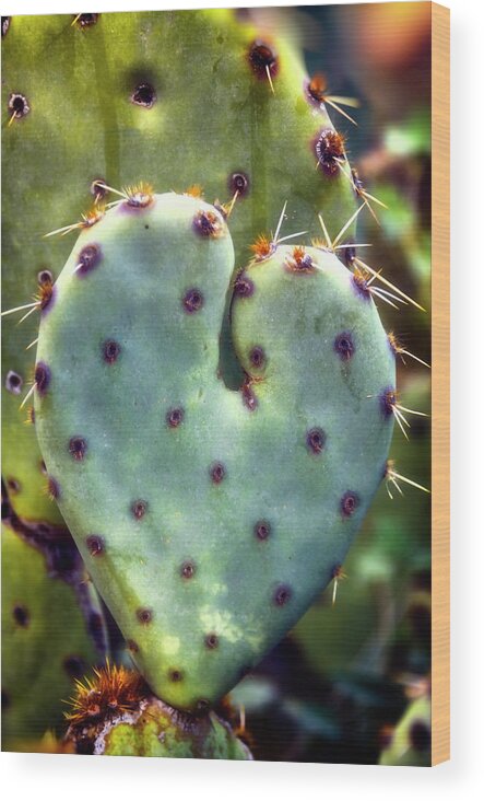 Prickly Pear Cactus Wood Print featuring the photograph I Heart Prickly by Saija Lehtonen