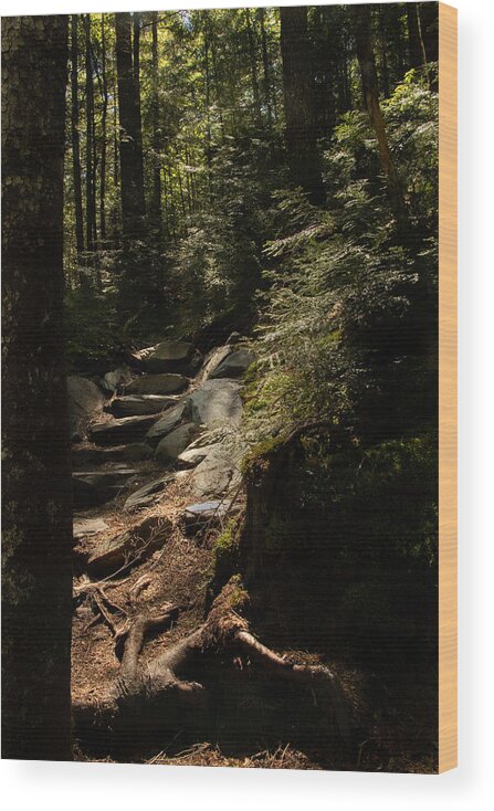 Maine Wood Print featuring the photograph I Will Light Your Way by Holly Ross