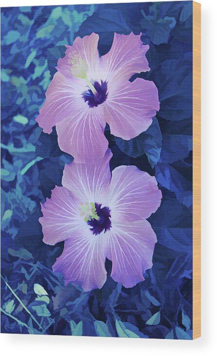 Hibiscus Wood Print featuring the photograph Ice Cold Pink Hibiscus Blooms Vertical by Aimee L Maher ALM GALLERY