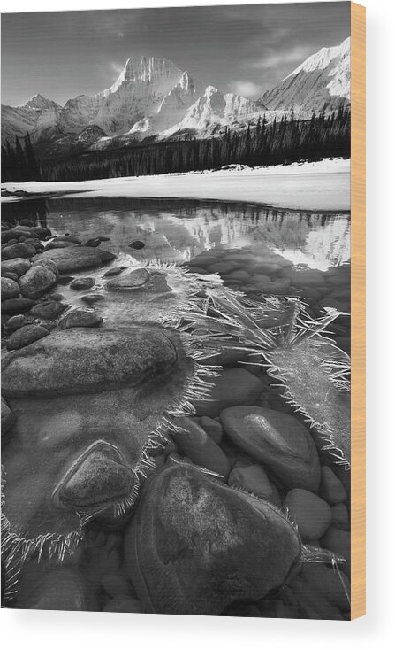 Jasper Wood Print featuring the photograph Ice on the Athabasca by Dan Jurak
