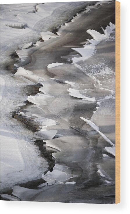 Ice Wood Print featuring the photograph Icy Shoreline by Mike Evangelist