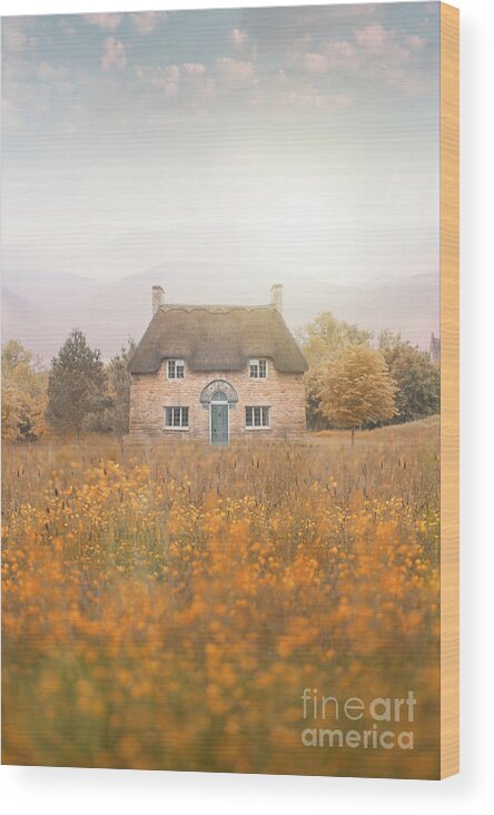 Thatched Wood Print featuring the photograph Idyllic Thatched Cottage In A Summer Meadow by Lee Avison