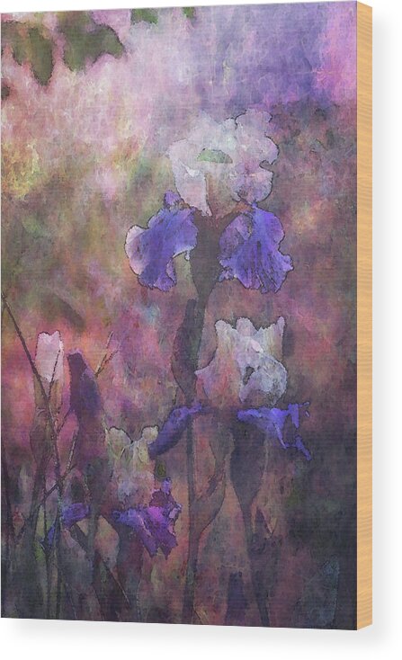 Impressionist Wood Print featuring the photograph Impressionist Purple and White Irises 6647 IDP_2 by Steven Ward