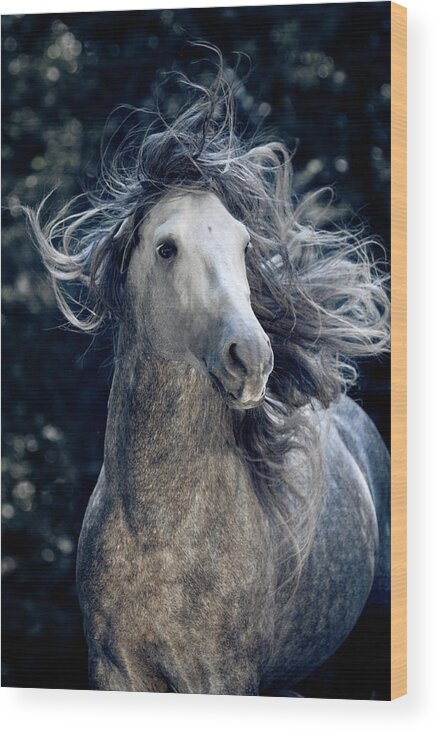 Russian Artists New Wave Wood Print featuring the photograph In the Waves of Mane by Ekaterina Druz
