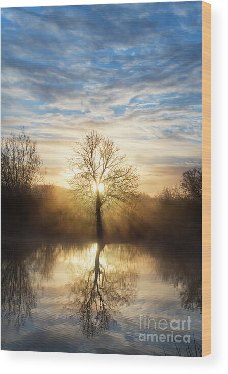 Sunrise Wood Print featuring the photograph Into the Mist by Tim Gainey