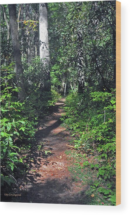 Nature Wood Print featuring the photograph Into the Woods by Kay Lovingood