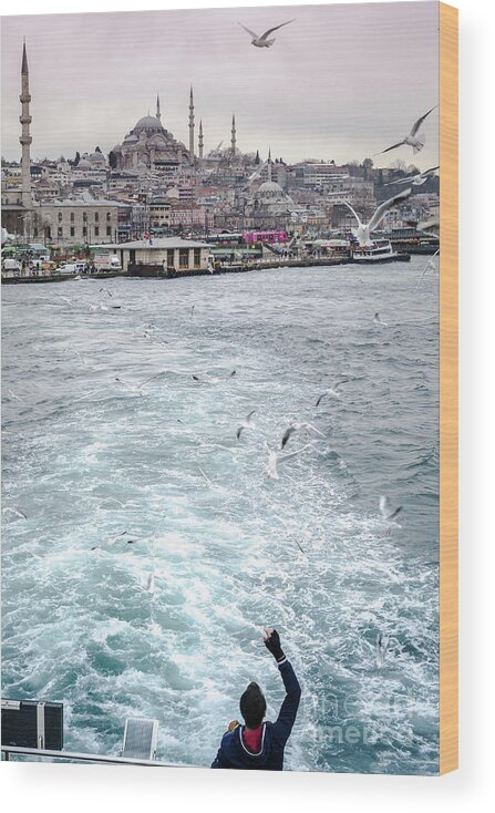 Birds Wood Print featuring the photograph Istanbul to Kadikoy, Ferry Ride on the Golden Horn by Perry Rodriguez