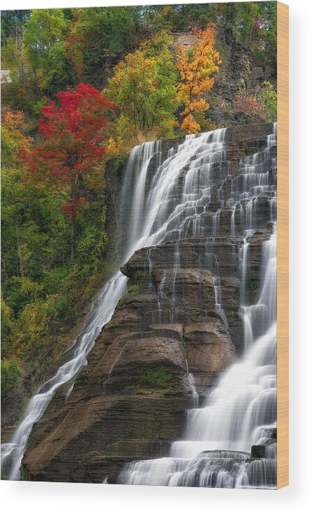 Ithaca Falls Wood Print featuring the photograph Ithaca Falls by Mark Papke