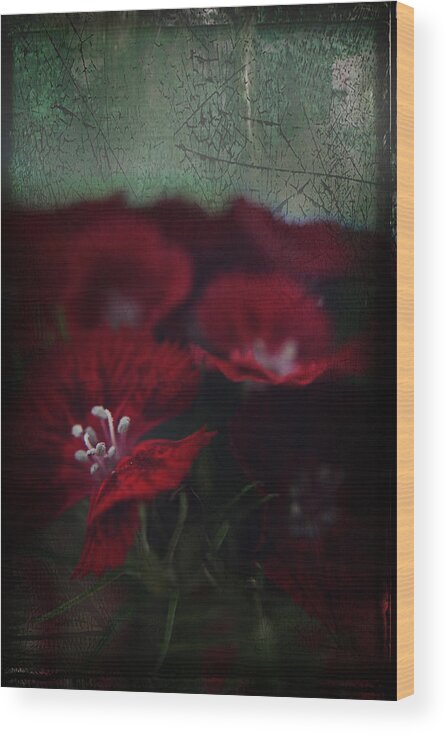 Flowers Wood Print featuring the photograph It's a Heartache by Laurie Search