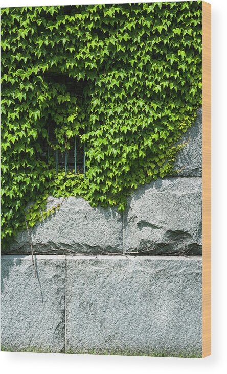 Minimalist Wood Print featuring the photograph Jail Window by Ginger Stein