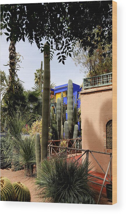 Jardin Majorelle Wood Print featuring the photograph Jardin Majorelle 4 by Andrew Fare