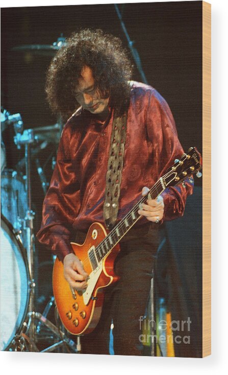 Robert Plant Wood Print featuring the photograph Jimmy Page-0021 by Timothy Bischoff