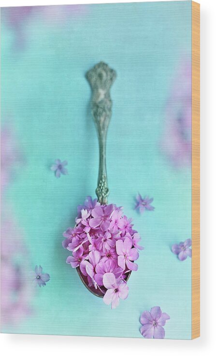 Sweet William Wood Print featuring the photograph Just a Spoonful of Petals by Stephanie Frey