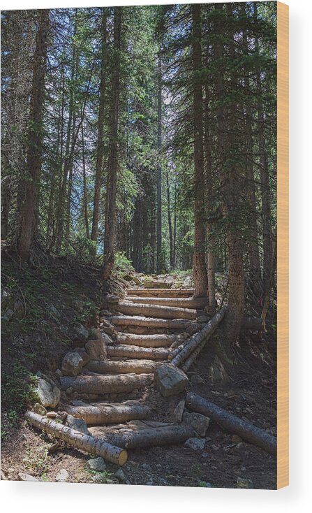 Natural Wood Print featuring the photograph Just Another Stairway To Heaven by James BO Insogna