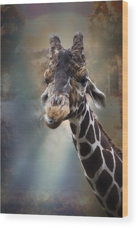 African Wood Print featuring the photograph Just Call Me Mister by Debra and Dave Vanderlaan