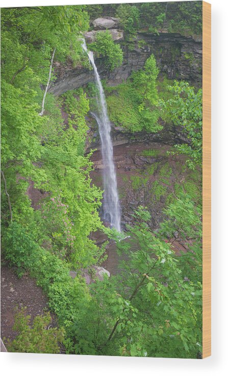 Kaaterskill Falls Wood Print featuring the photograph Kaaterskill Falls 2018 by Kenneth Cole