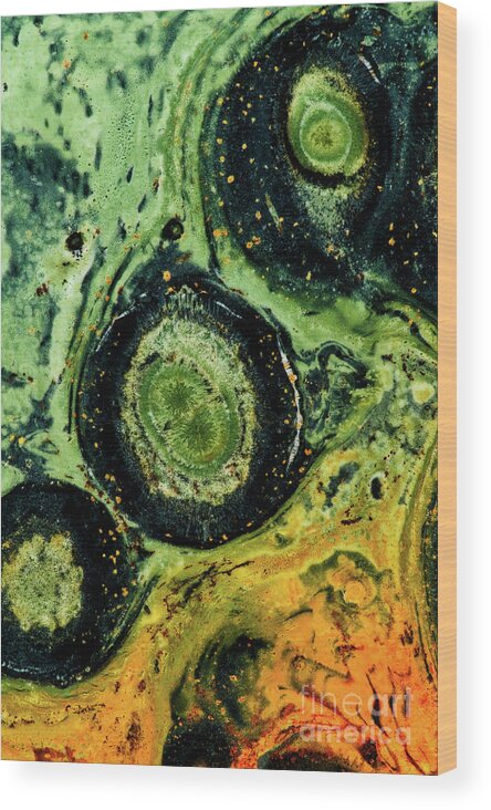 Green Wood Print featuring the photograph Kambaba Jasper circles RO9063 by Mark Graf