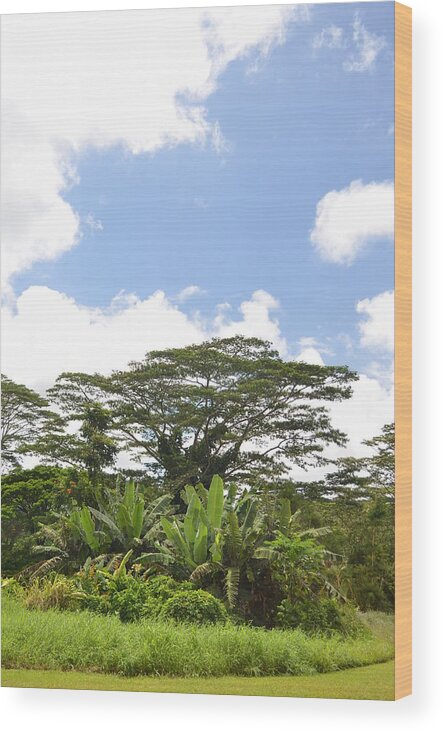 Kauai Wood Print featuring the photograph Kauai Hindu Monastery by Amy Fose