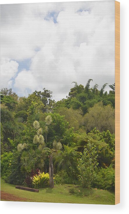 Kauai Wood Print featuring the photograph Kauai Hindu Monastery Greenery by Amy Fose