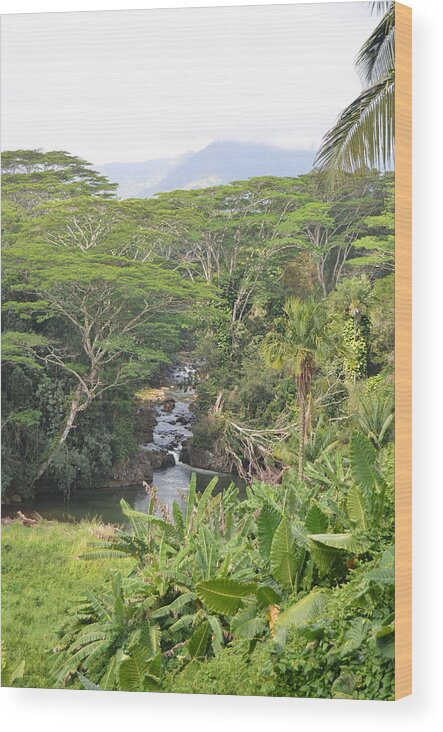 Kauai Wood Print featuring the photograph Kauai Hindu Monastery River Valley 1 by Amy Fose