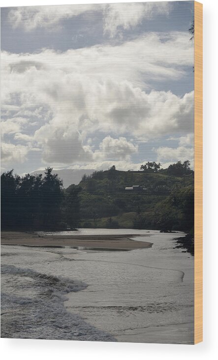 Kauai Wood Print featuring the photograph Kauai Kahili Beach 2 by Amy Fose