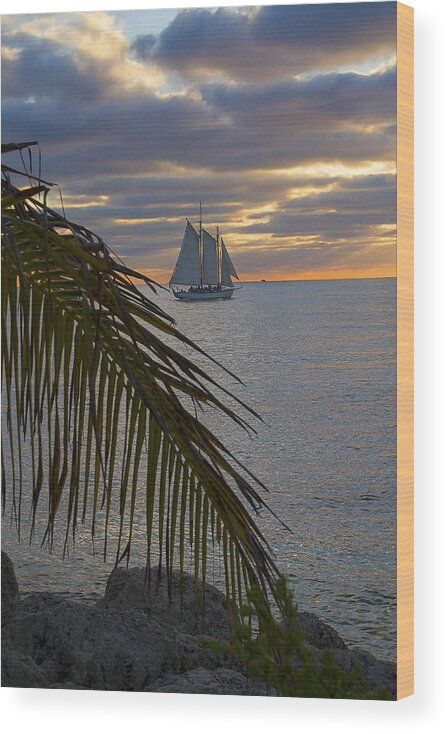 Silhouette Wood Print featuring the photograph Key West Cloudy Sunset Sailing by Bob Slitzan