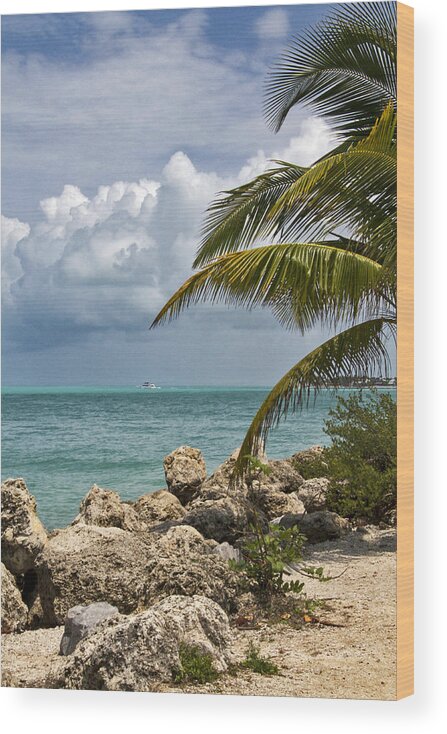 Tropical Wood Print featuring the photograph Key West Paradise 4 by Bob Slitzan