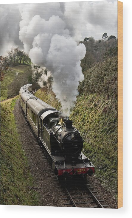 Kingswear Wood Print featuring the photograph Kingswear to Paignton Train by Pete Hemington