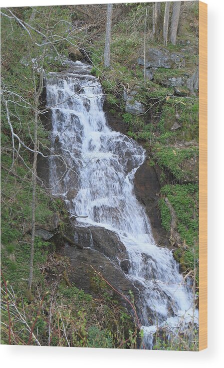 Waterfall Wood Print featuring the photograph Land of Waterfalls by Karen Ruhl