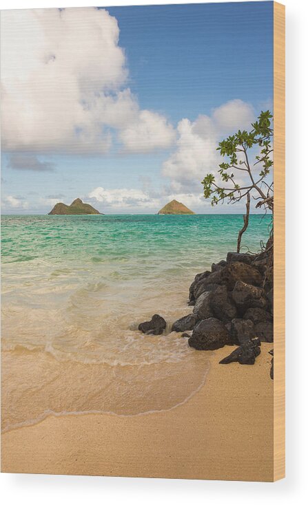 Lanikai Kailua Oahu Hawaii Beach Park Seascape Wood Print featuring the photograph Lanikai Beach 1 - Oahu Hawaii by Brian Harig