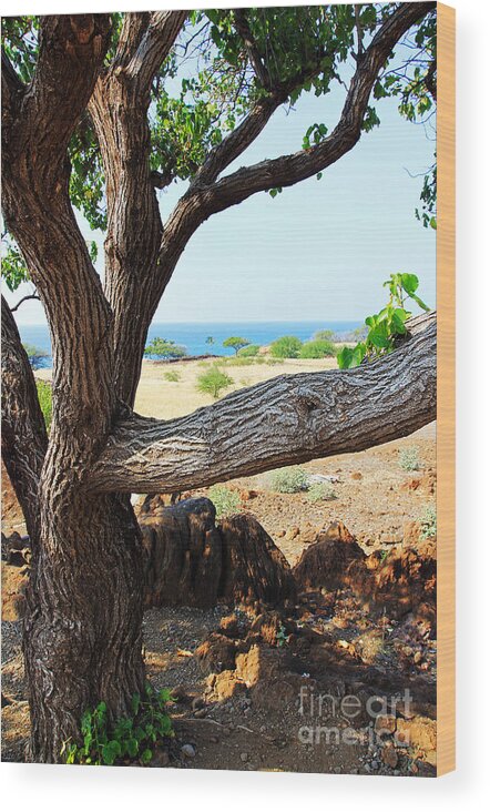 Lapakahi View Wood Print featuring the photograph Lapakahi View by Jennifer Robin