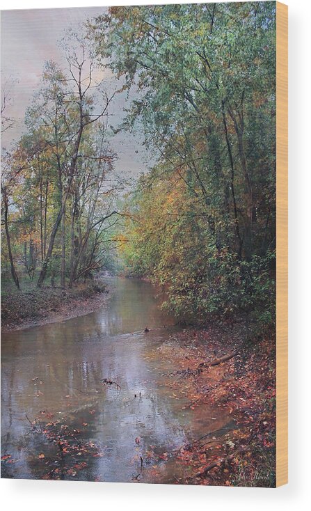Autumn Wood Print featuring the photograph Late Autumn Afternoon by John Rivera