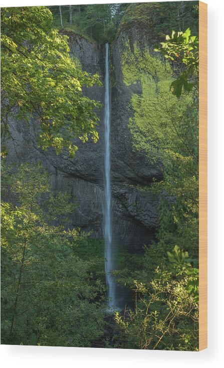 Water Wood Print featuring the photograph Latourell Falls by Brenda Jacobs