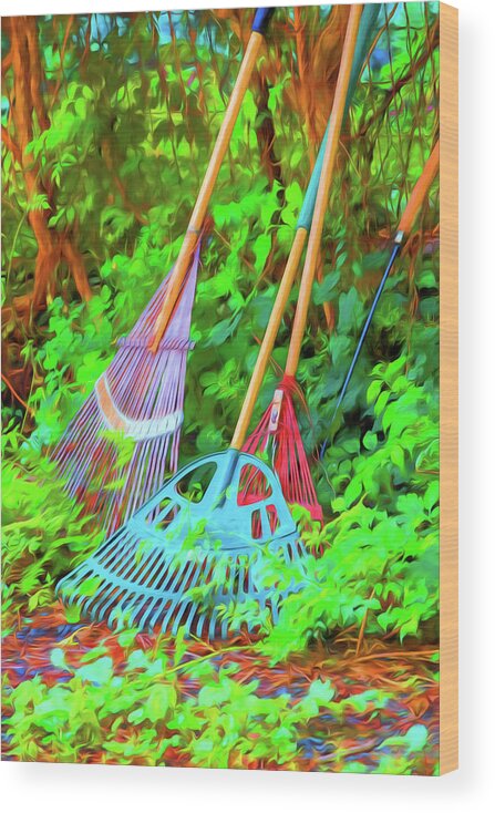 Lematis Vine Wood Print featuring the photograph Lawn Tools by Tom Singleton