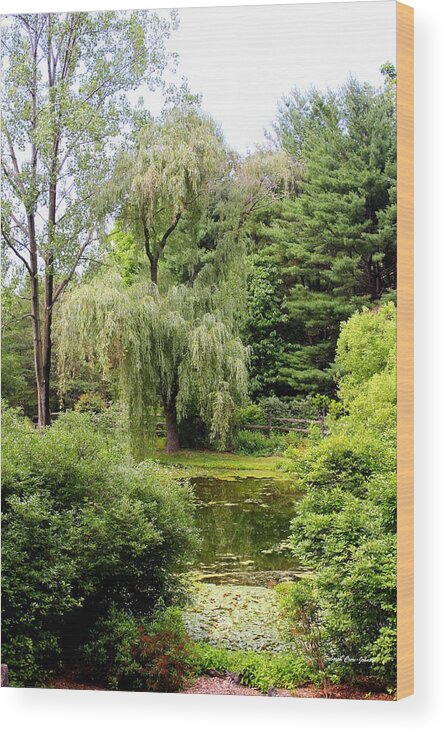 Foilage Wood Print featuring the photograph Lazy Pond by Deborah Crew-Johnson