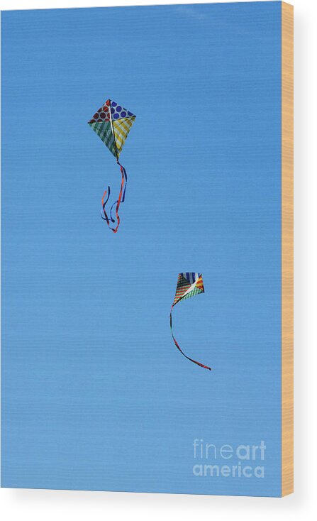 Kites Wood Print featuring the photograph Let's Fly Away by Debra Fedchin