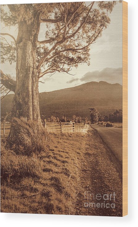 Land Wood Print featuring the photograph Liffey vintage rural landscape by Jorgo Photography
