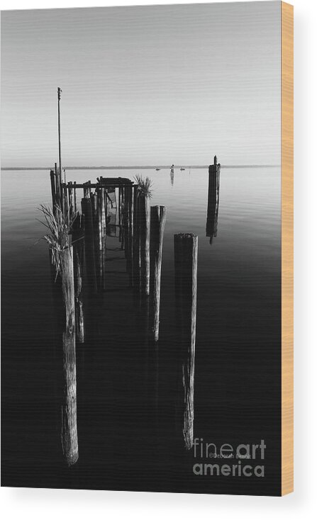 Water Wood Print featuring the photograph Lines and shadows by Deborah Benoit