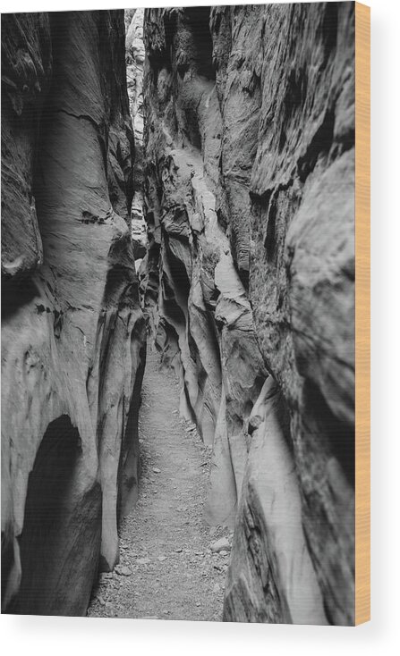 Little Wood Print featuring the photograph Little Wild Horse Canyon bw by Jennifer Ancker