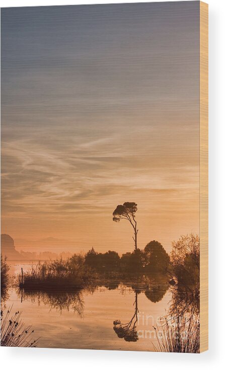 Sunrise Wood Print featuring the photograph Lonely sunrise by Gabriela Insuratelu
