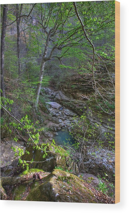 Lost Valley Canyon Wood Print featuring the photograph Lost Valley Canyon Buffalo National River by Michael Dougherty