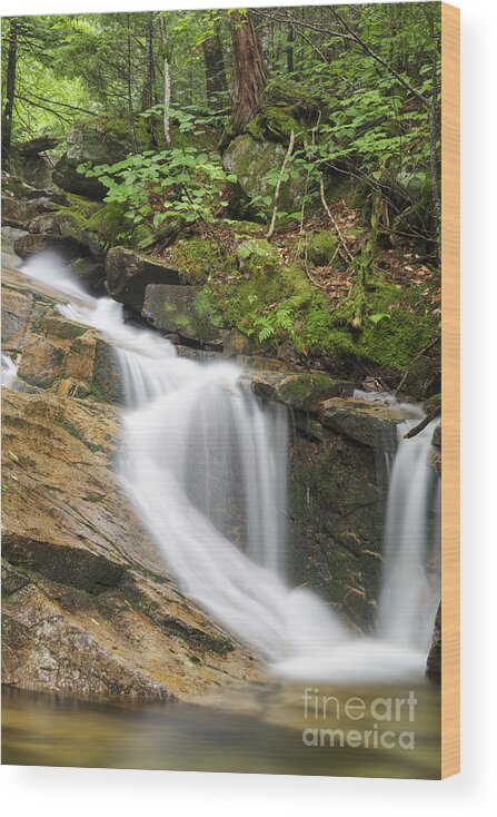 Attitash Trail Wood Print featuring the photograph Louisville Brook - Bartlett New Hampshire by Erin Paul Donovan