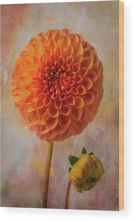 Dahlias Wood Print featuring the photograph Lovely Textured Dahlia by Garry Gay