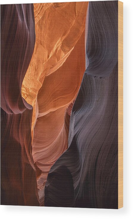 Antelope Canyon Wood Print featuring the photograph Lower Antelope Canyon Vertical by Dave Dilli
