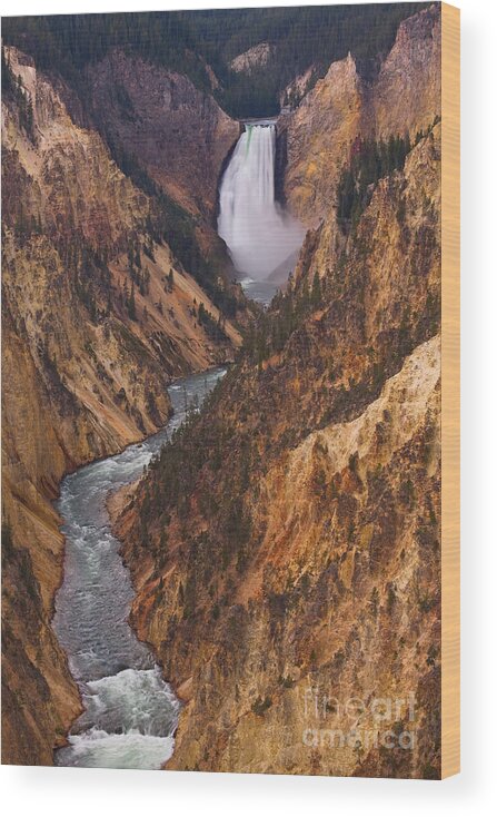 Lower Falls Wood Print featuring the photograph Lower Falls of the Grand Canyon of the Yellowstone by Katie LaSalle-Lowery