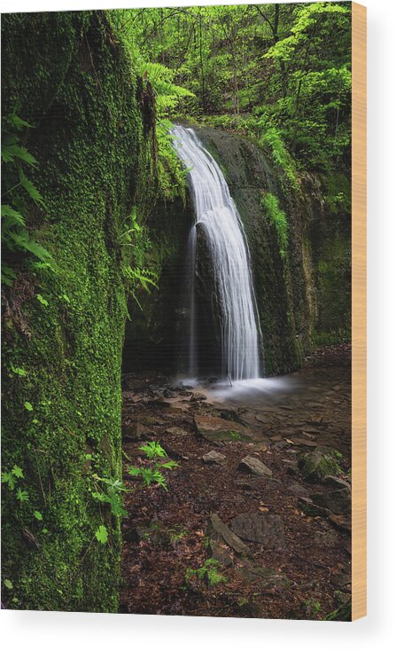 Waterfall Wood Print featuring the photograph Lush by Brad Bellisle