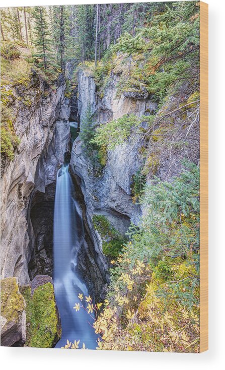 Maligne Canyon Wood Print featuring the photograph Maligne Canyon Waterfall by Pierre Leclerc Photography