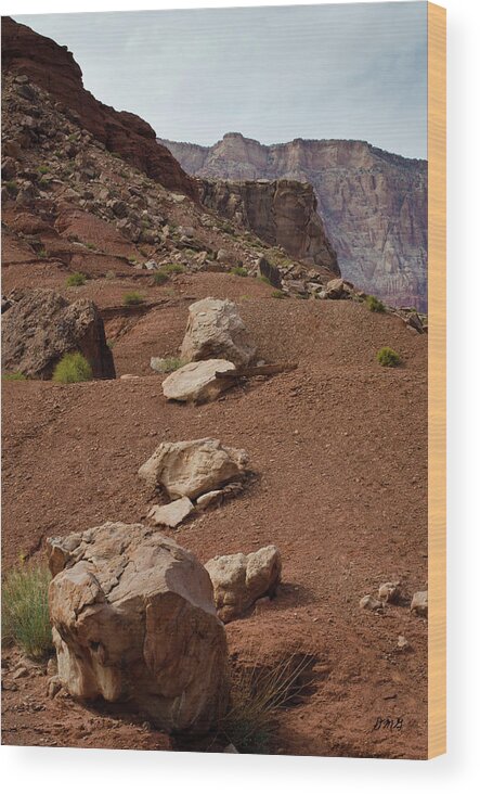 Marble Wood Print featuring the photograph Marble Canyon VII by David Gordon