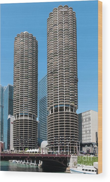 Chicago Wood Print featuring the photograph Marina City by David Levin