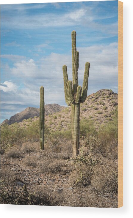 Mcdowell Wood Print featuring the photograph McDowell Mountains by David Hart